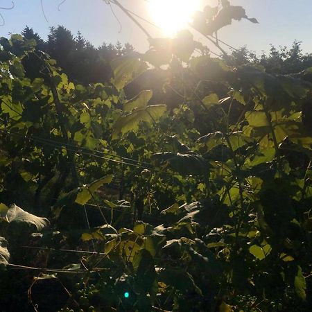Winzerhaeuschen Kern Daire Fehring Dış mekan fotoğraf