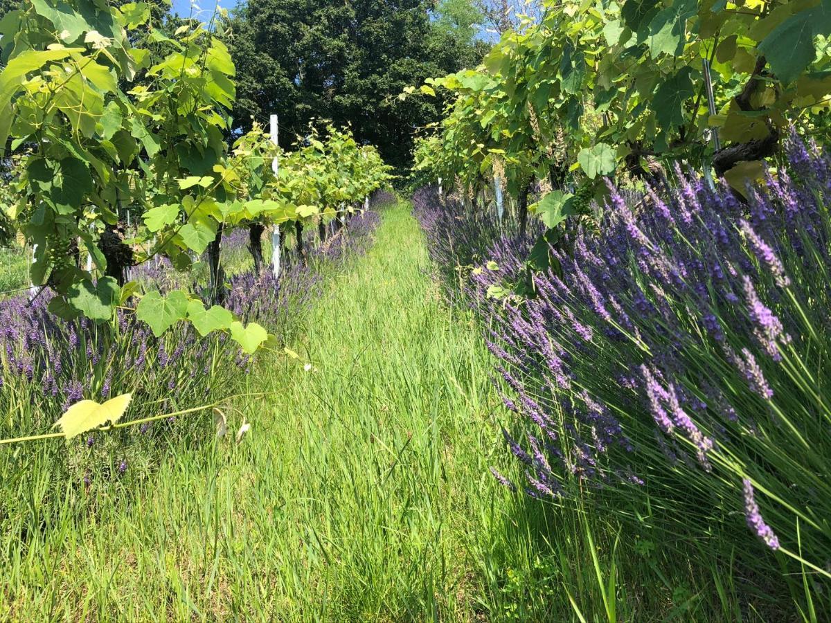 Winzerhaeuschen Kern Daire Fehring Dış mekan fotoğraf